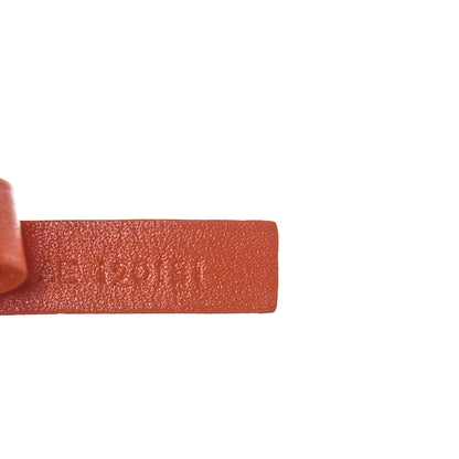 Goyard Goyardine Saint Louis PM Orange 10 of 23