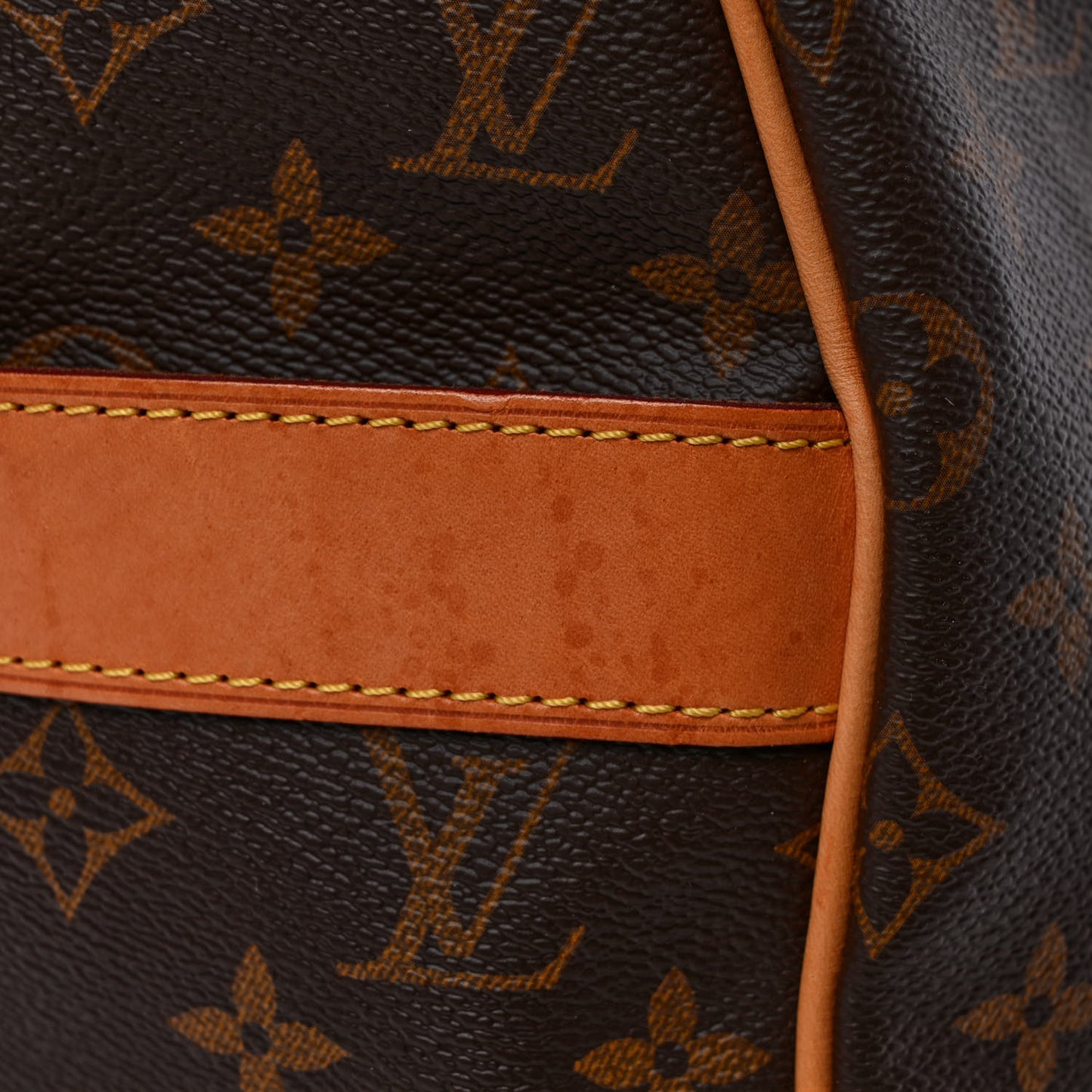 Monogram Carryall