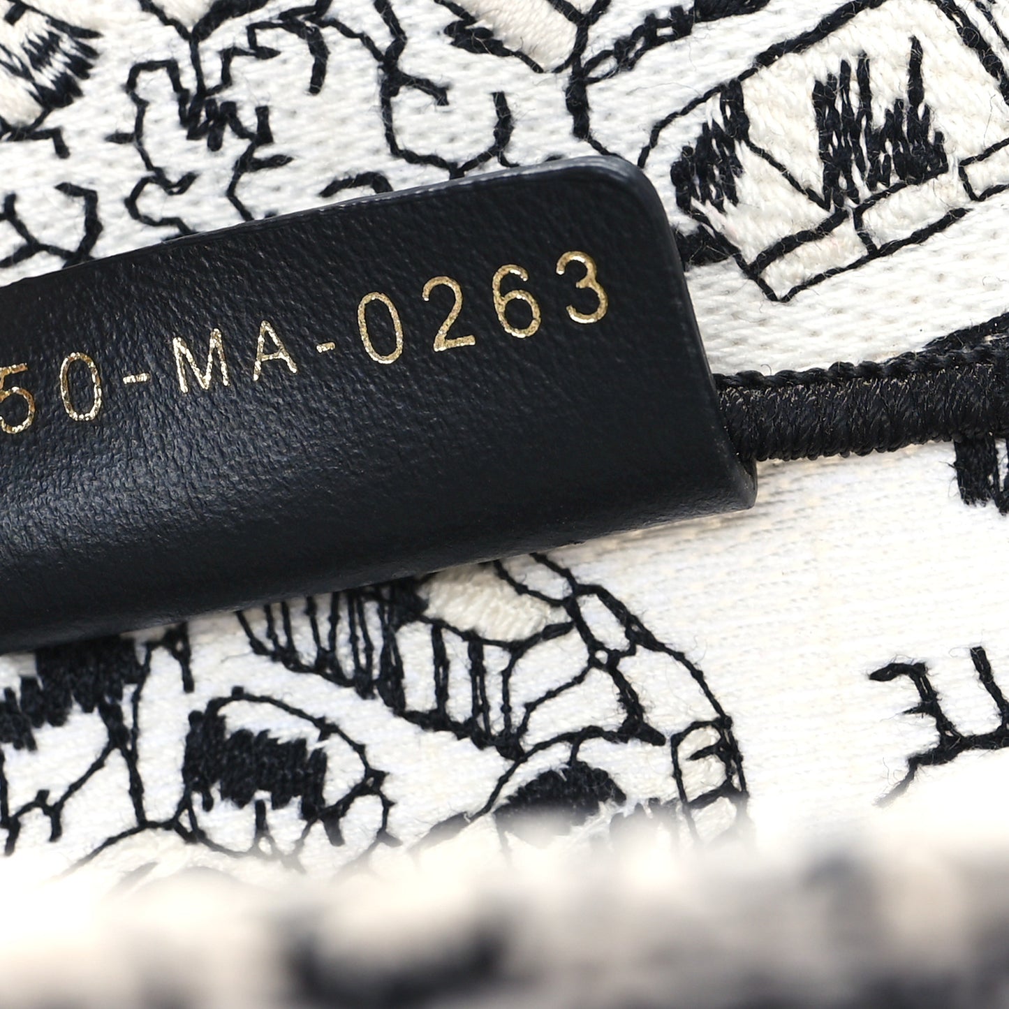 Canvas Embroidered Medium Plan De Paris Book Tote White Black