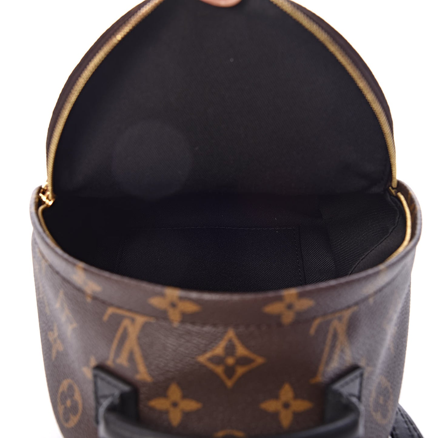 Monogram Palm Springs Backpack Mini