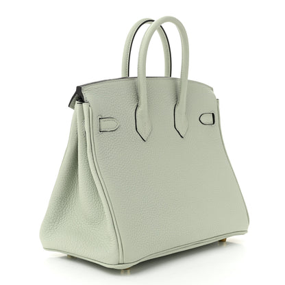 Hermes Togo Birkin 25 Gris Neve 3 of 11