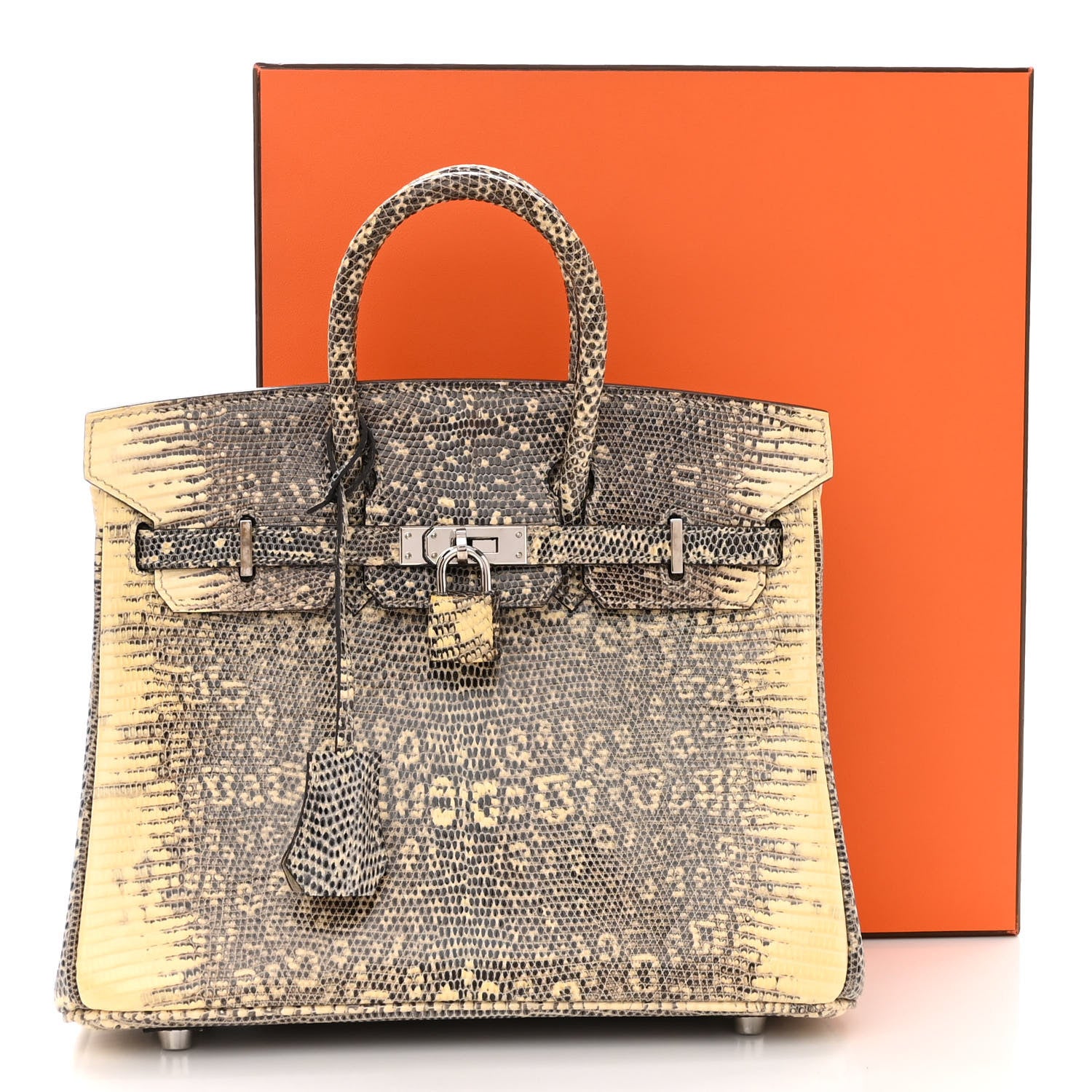Hermes Lizard Birkin 25 Ombre 11 of 11