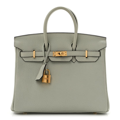Hermes Togo Birkin 25 Gris Neve 1 of 14
