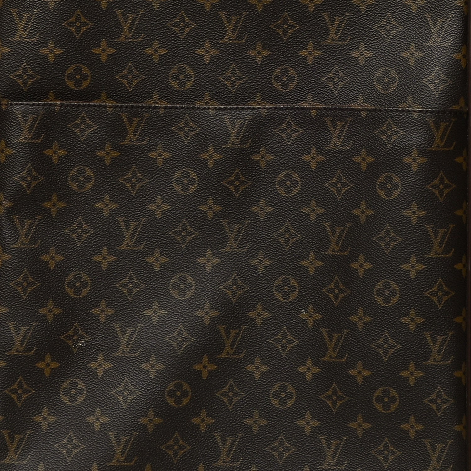 Louis Vuitton Monogram Pegase 60 6 of 16