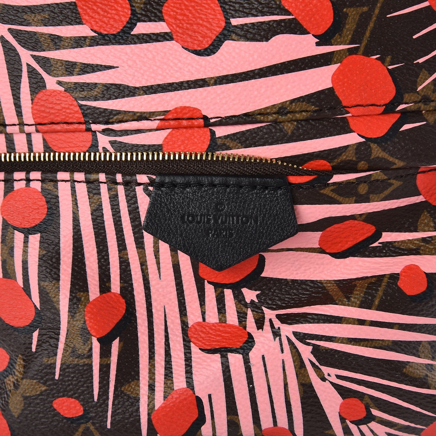 Monogram Jungle Dots Palm Springs Backpack PM Sugar Pink Poppy
