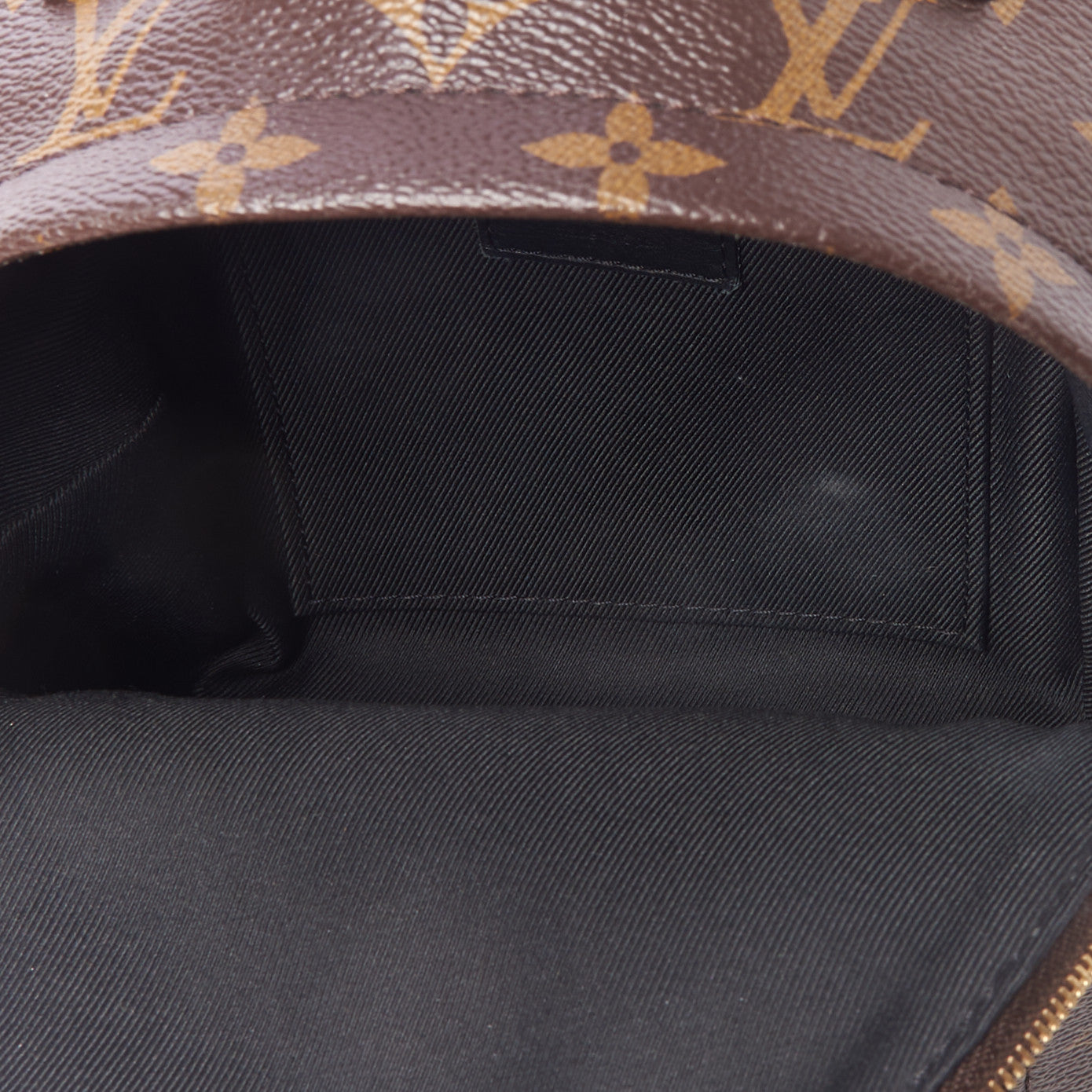 Louis Vuitton Monogram Palm Springs Backpack Mini 7 of 9
