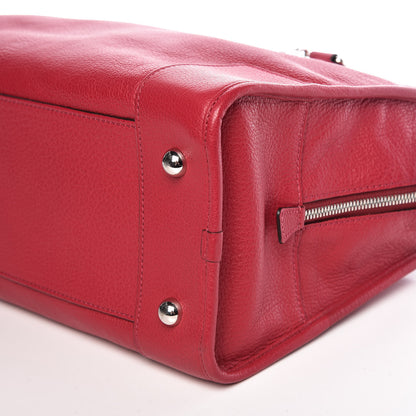 Loewe Goatskin Amazona Fuchsia 6 of 9