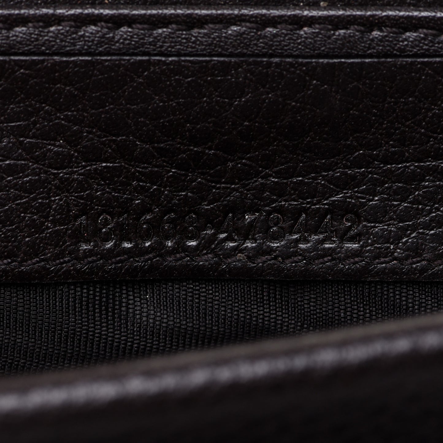 Guccissima Ladies Web Long Wallet Black