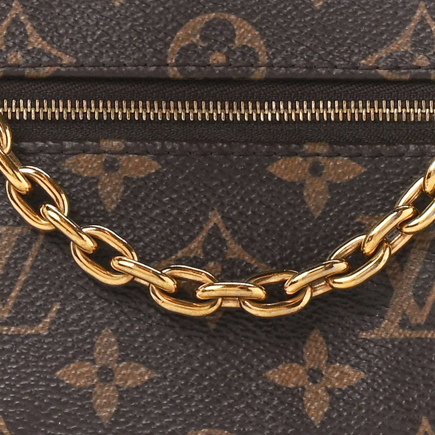 Louis Vuitton Monogram Loop 8 of 13