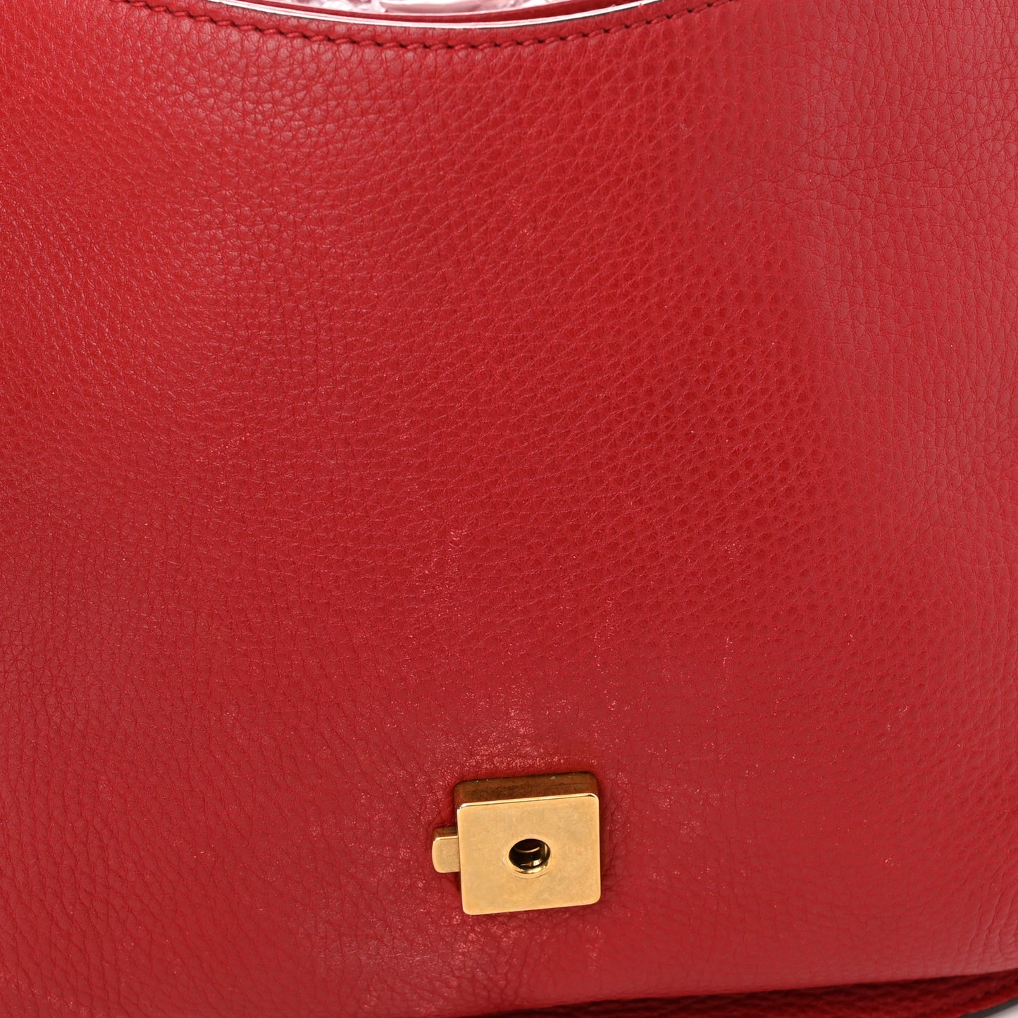 Cellarius Calfskin Feline GG Marmont Flap Shoulder Bag Vulcanic Red