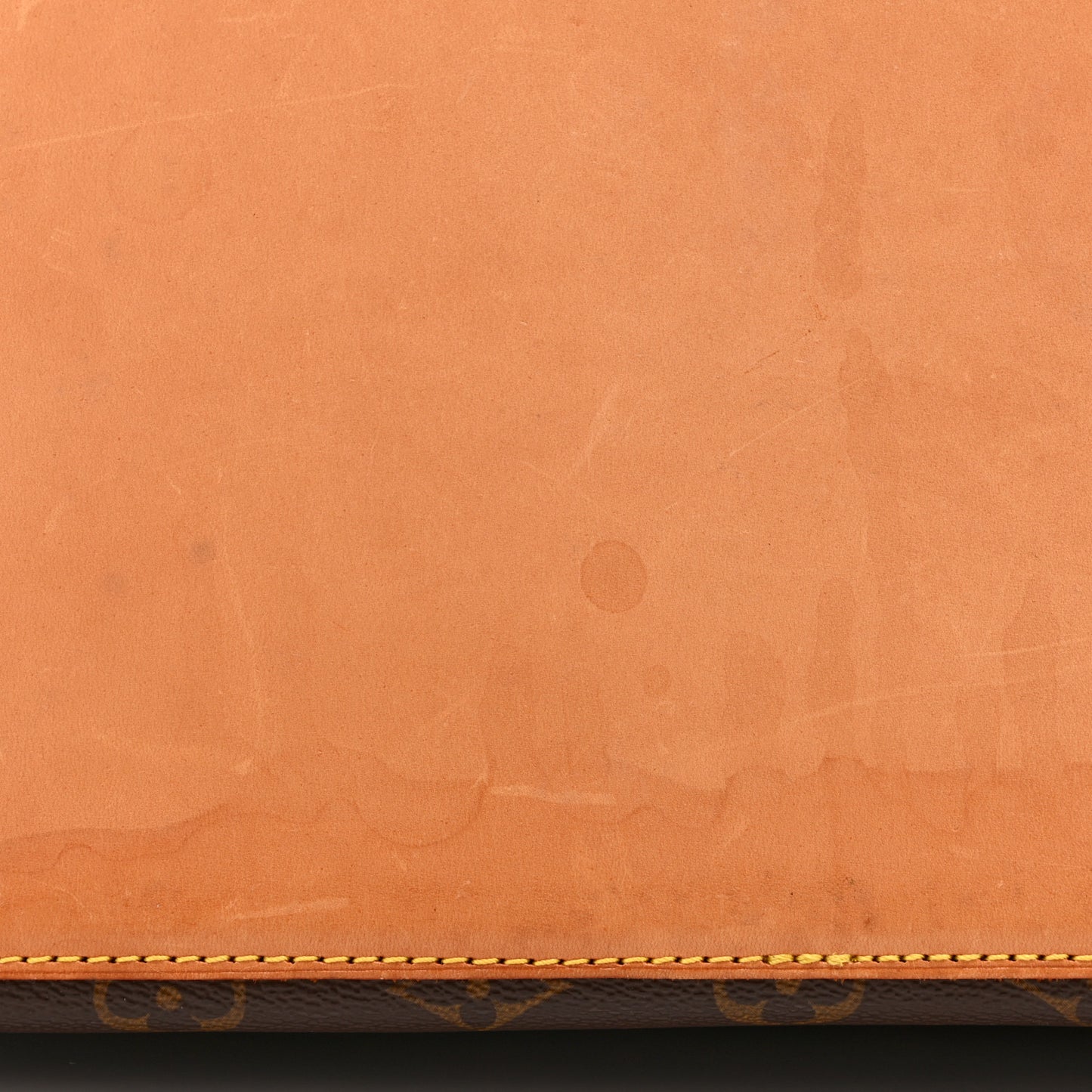 Monogram Cabas Mezzo