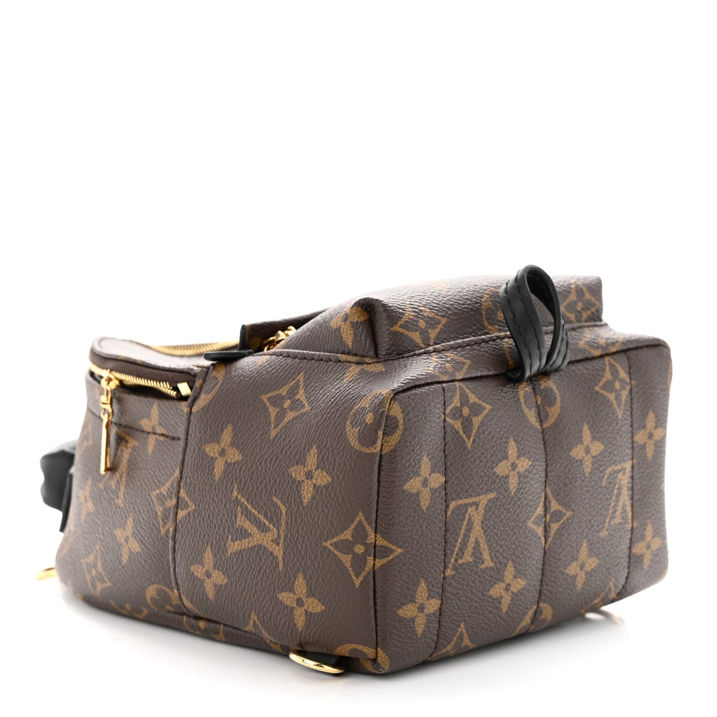 Monogram Palm Springs Backpack Mini