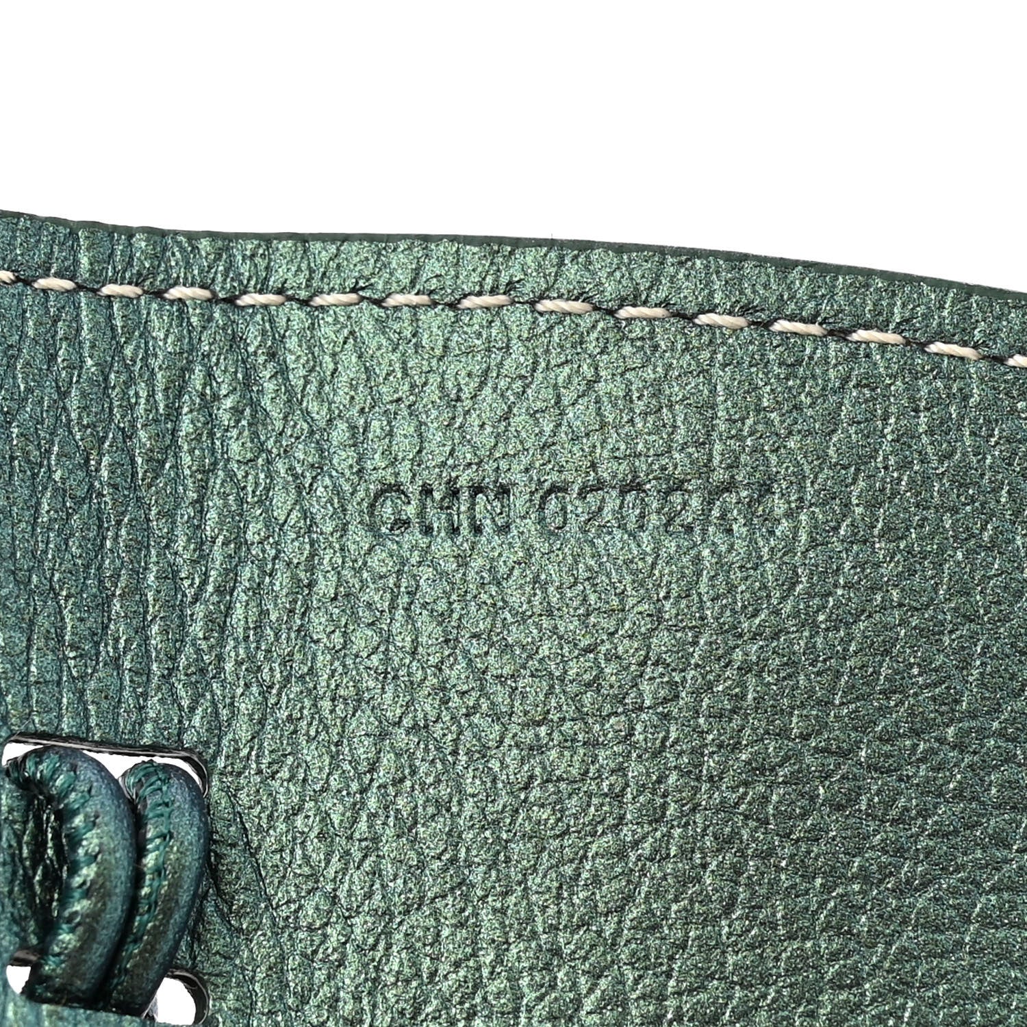 Goyard Iridescent Goyardine Saint Louis GM Pearly Green 11 of 11