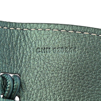 Goyard Iridescent Goyardine Saint Louis GM Pearly Green 11 of 11