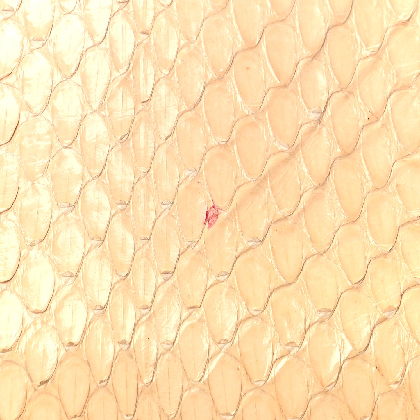 Snakeskin Mini Rush Clutch Blush