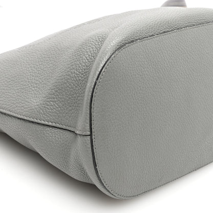 Prada Vitello Phenix Embossed Logo Hobo Argilla 8 of 9