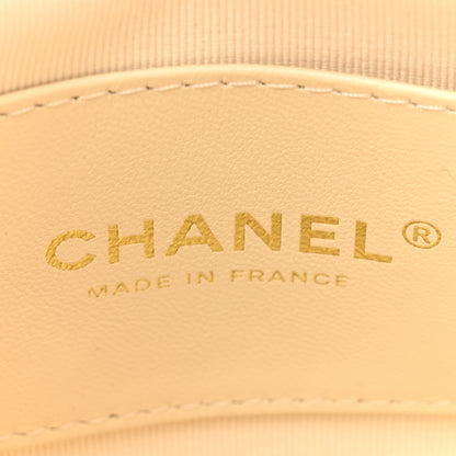 Chanel Lambskin Plexiglass Tortoise Shell Quilted Small Pouch Light Beige 8 of 10