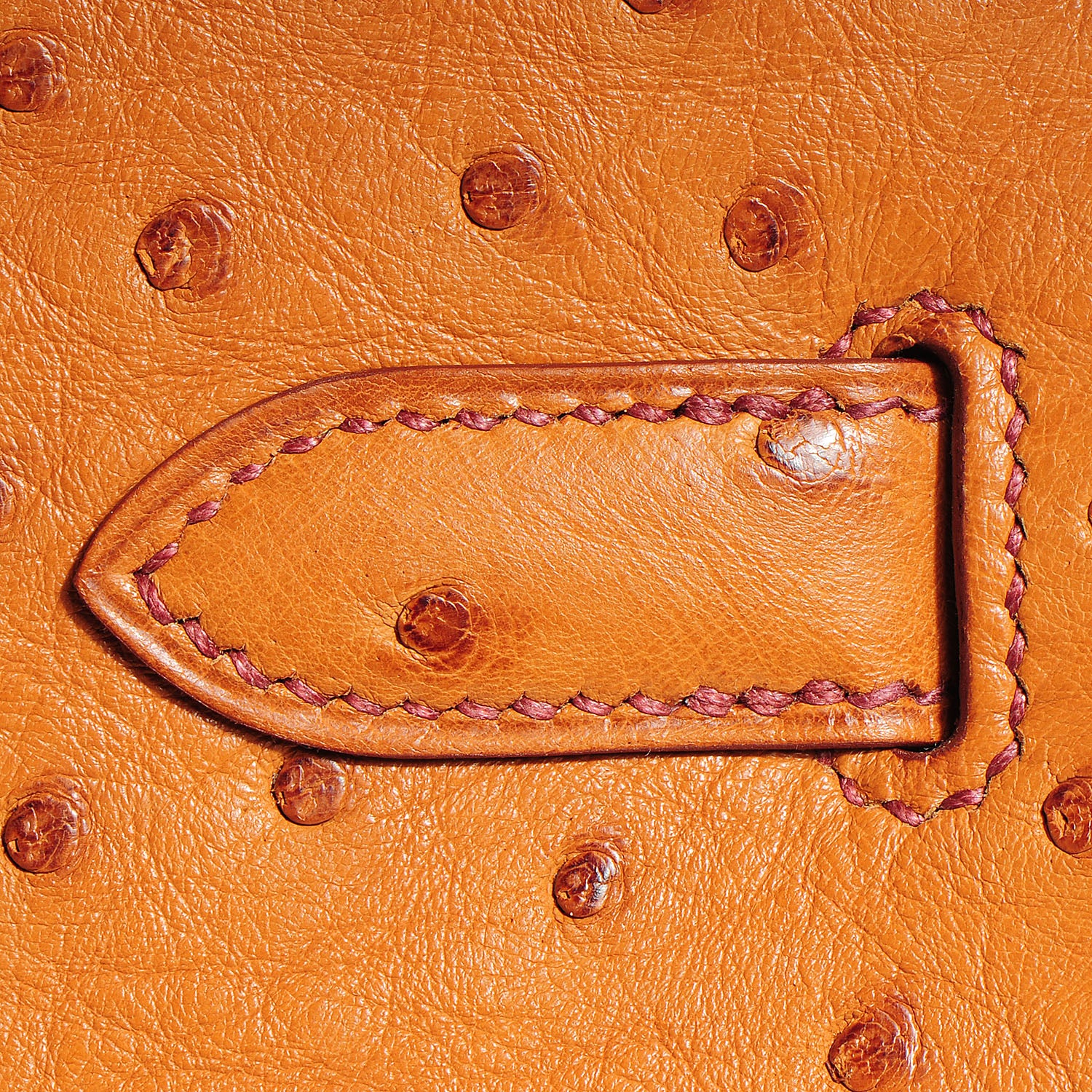 Hermes Ostrich Birkin 30 Cognac 17 of 29