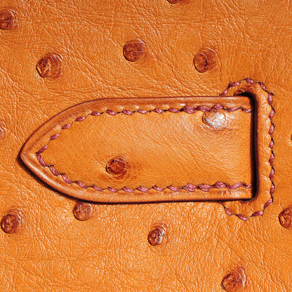 Hermes Ostrich Birkin 30 Cognac 17 of 29