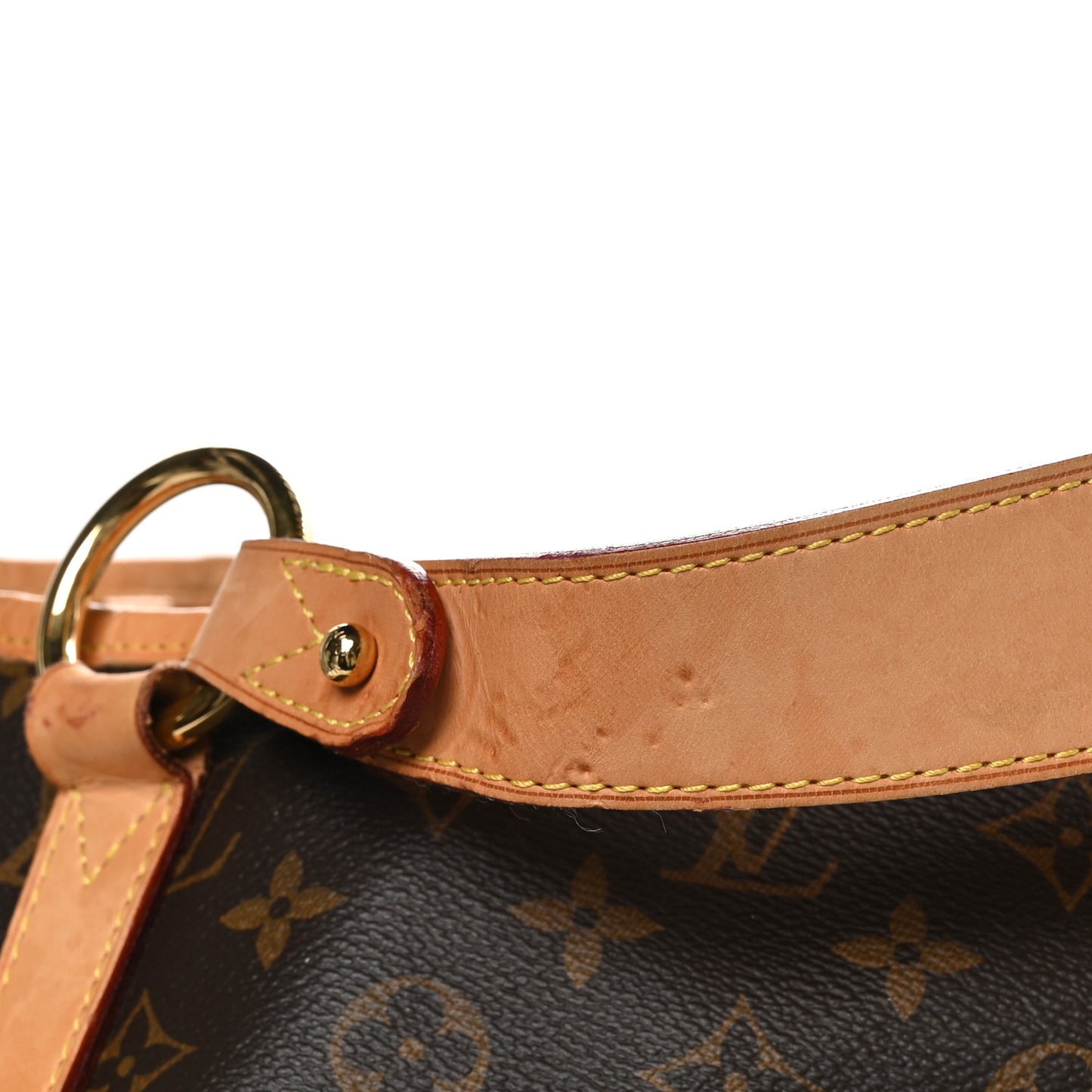 LOUIS VUITTON Monogram Delightful GM