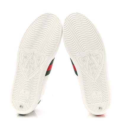 Gucci Calfskin Ayers Bee Embroidered Womens Ace Sneakers 36.5 White Green 5 of 10