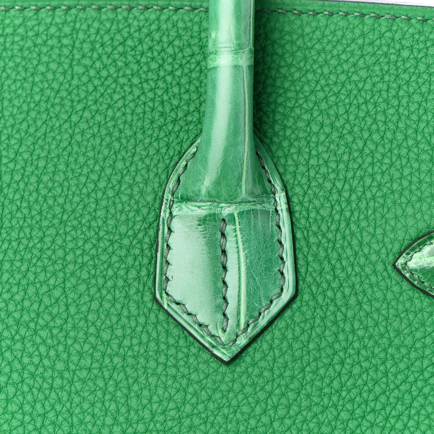 Hermes Togo Shiny Niloticus Crocodile Birkin Touch 30 Bamboo Cactus 8 of 34