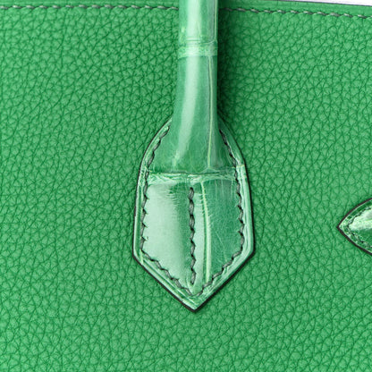 Hermes Togo Shiny Niloticus Crocodile Birkin Touch 30 Bamboo Cactus 8 of 34