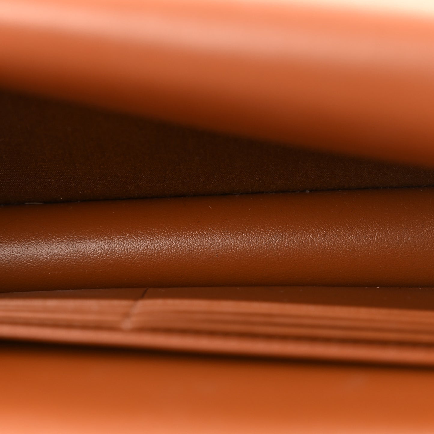 Triomphe Canvas Lambskin Wallet On Strap Tan