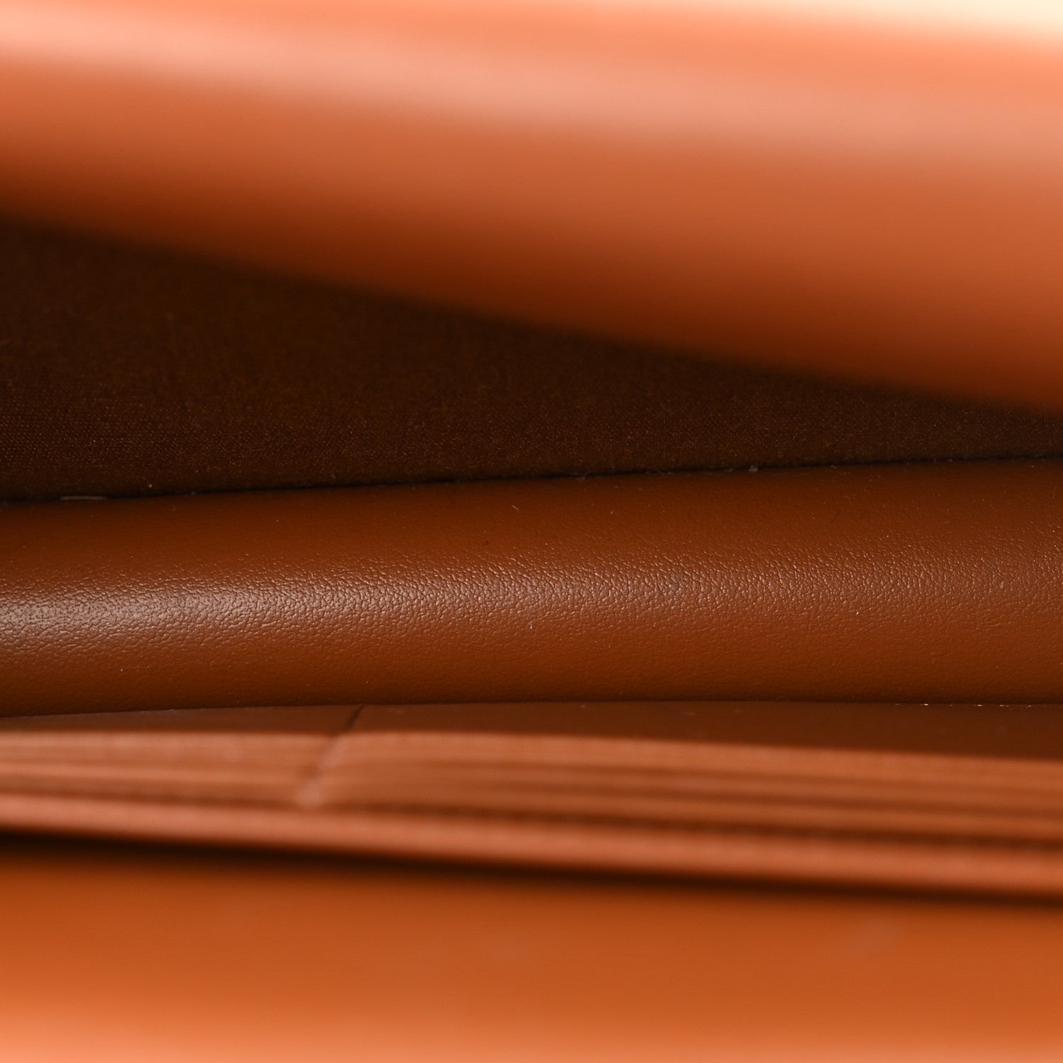 Celine Triomphe Canvas Lambskin Wallet On Strap Tan 5 of 12