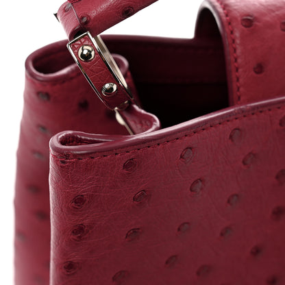Louis Vuitton Ostrich Capucines MM Fuchsia 10 of 11