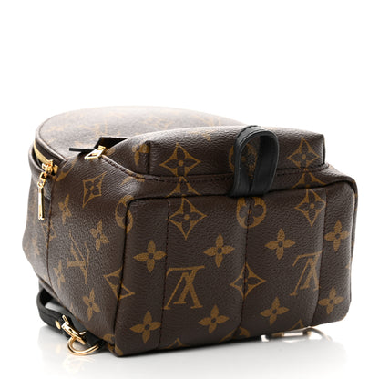 Louis Vuitton Monogram Palm Springs Backpack Mini 4 of 11