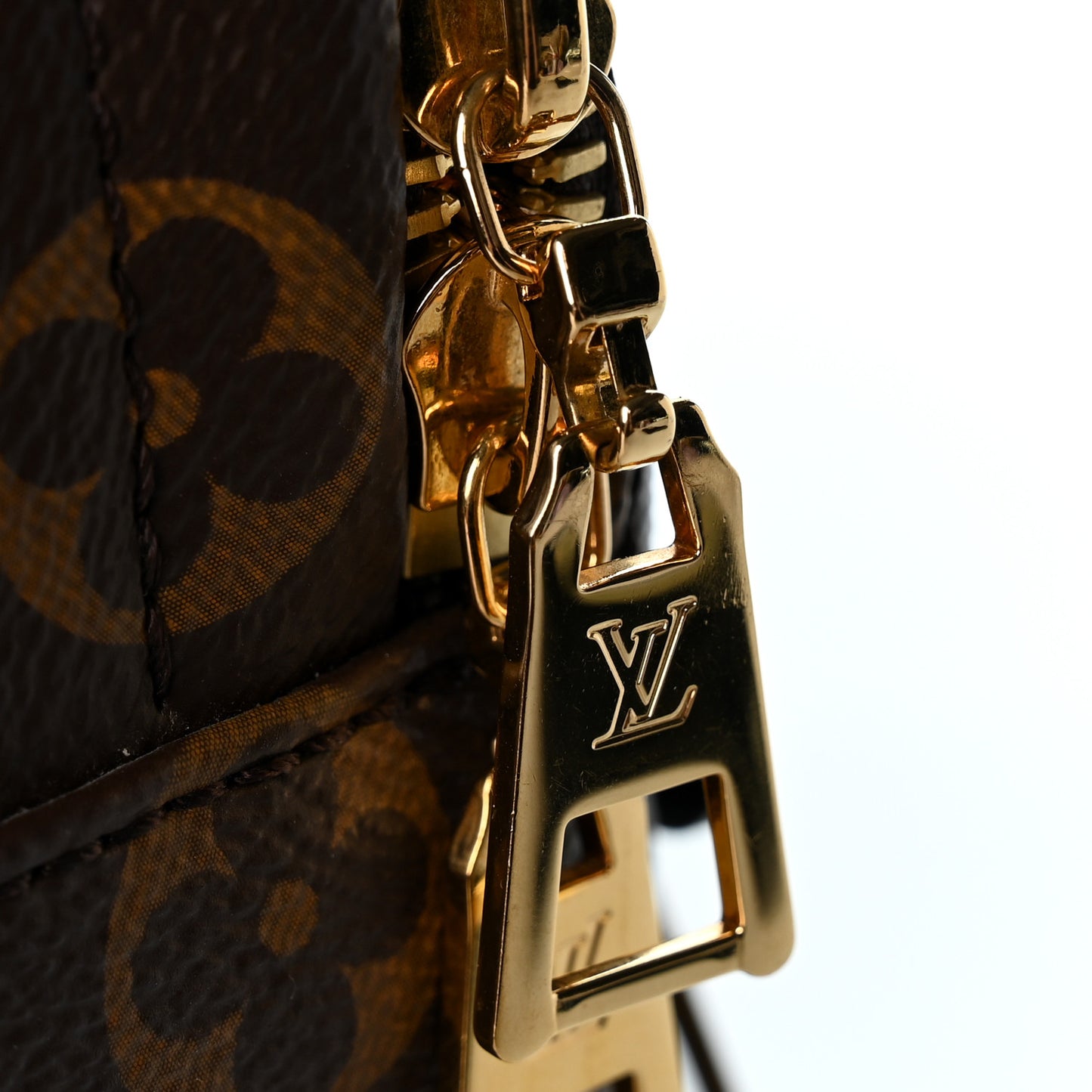 Monogram Palm Springs Backpack MM