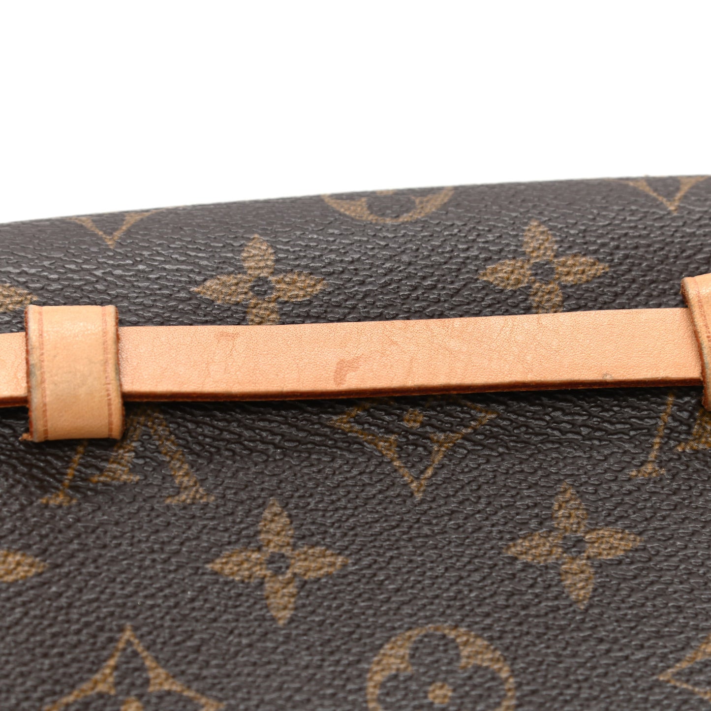 Monogram Pochette Florentine XS