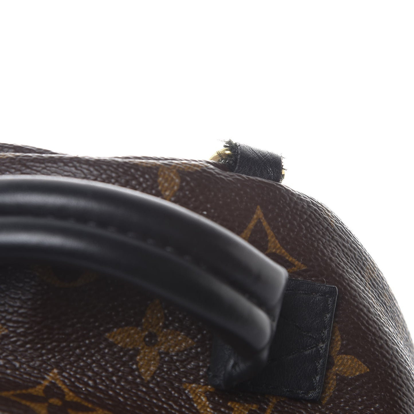 Monogram Palm Springs Backpack Mini