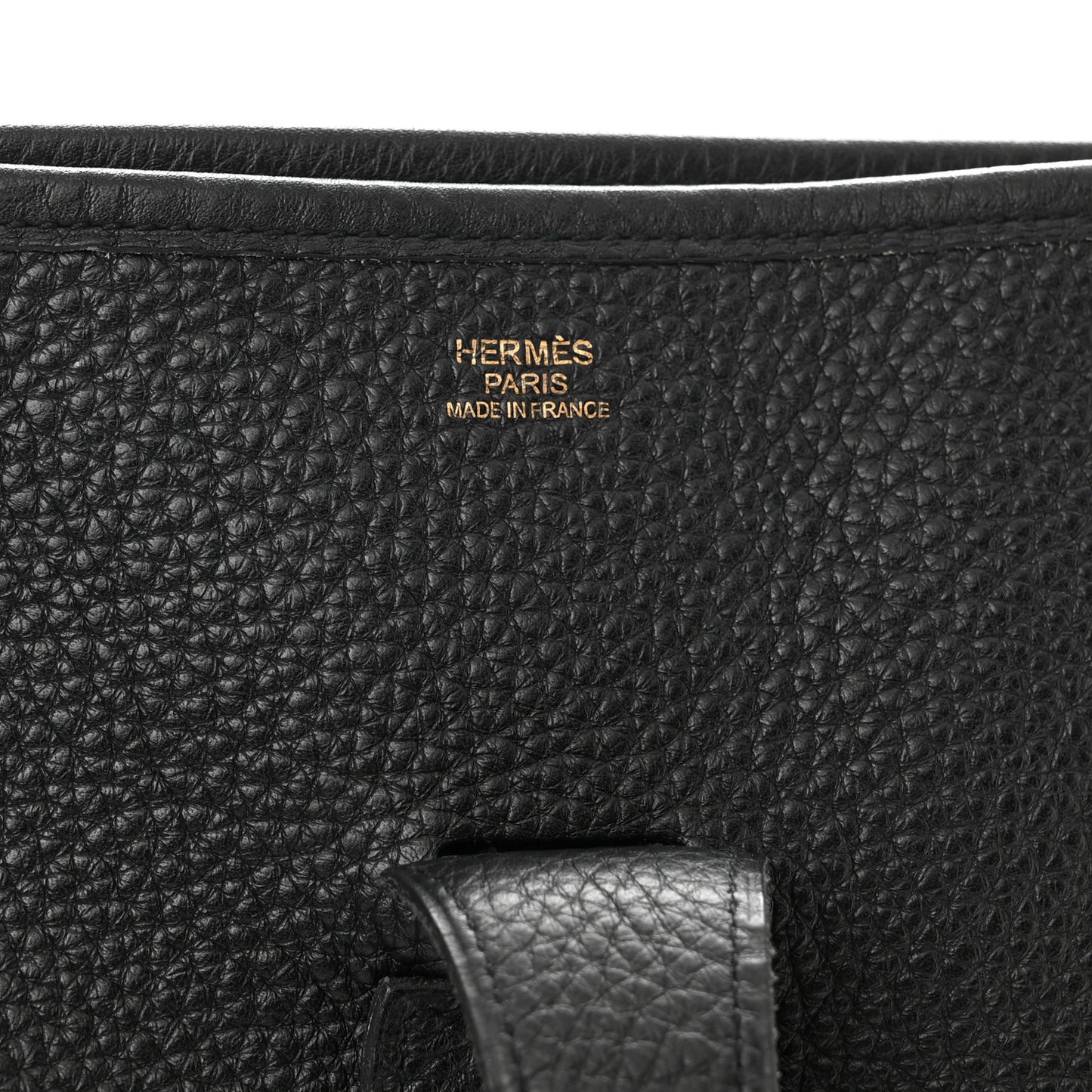 Taurillon Clemence Evelyne II TGM Black