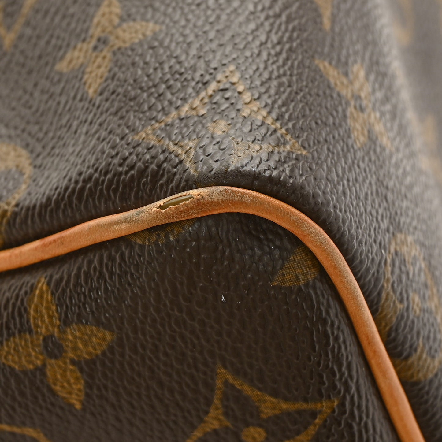 Monogram Speedy 25