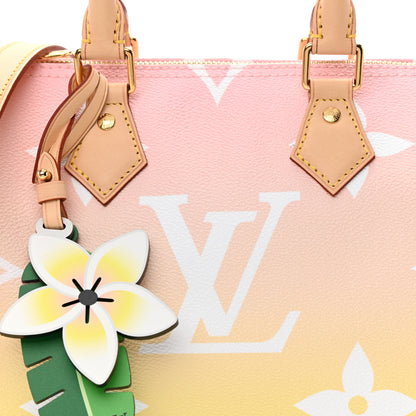 Louis Vuitton Monogram Giant By The Pool Speedy Bandouliere 25 Light Pink 9 of 11