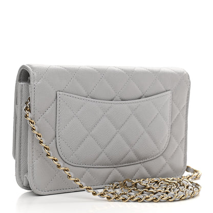 Chanel Caviar Quilted Wallet On Chain WOC Grey 3 of 14