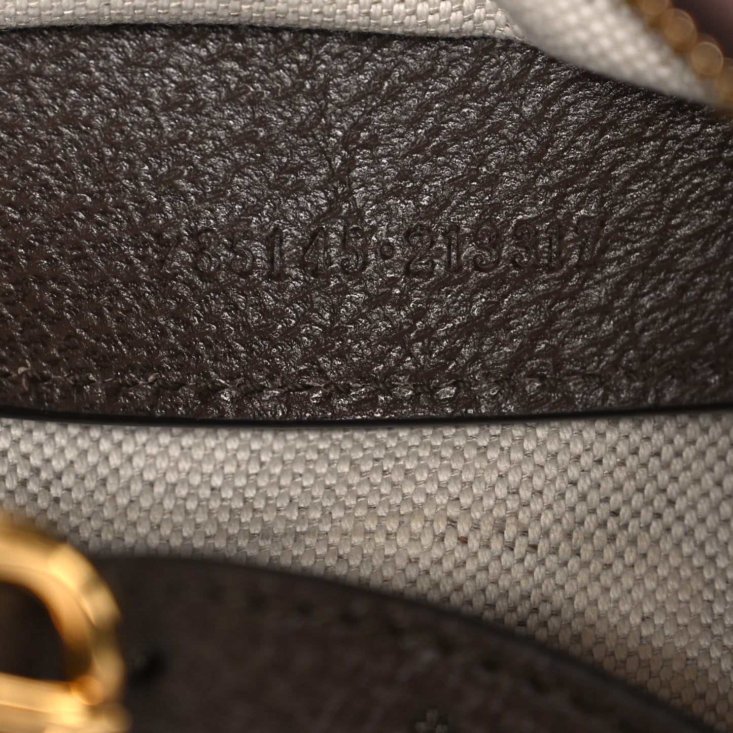 GG Supreme Monogram Textured Dollar Calfskin Small Ophidia Hobo Beige Ebony New Acero
