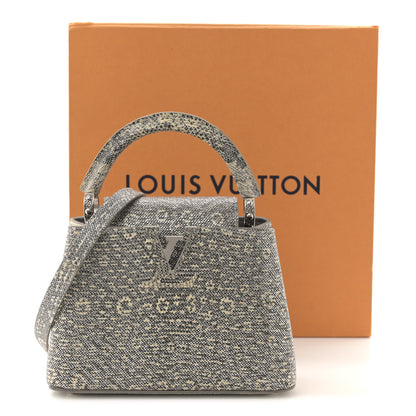 Louis Vuitton Lizard Mini Capucines Argento 10 of 10