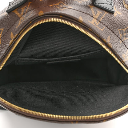 Louis Vuitton Monogram Palm Springs Backpack Mini 5 of 9
