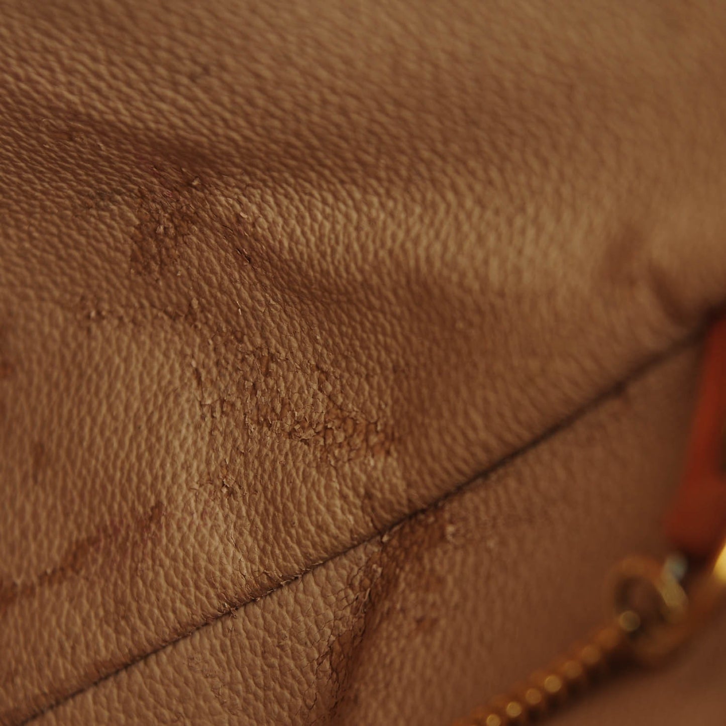 Monogram Petit Bucket 23