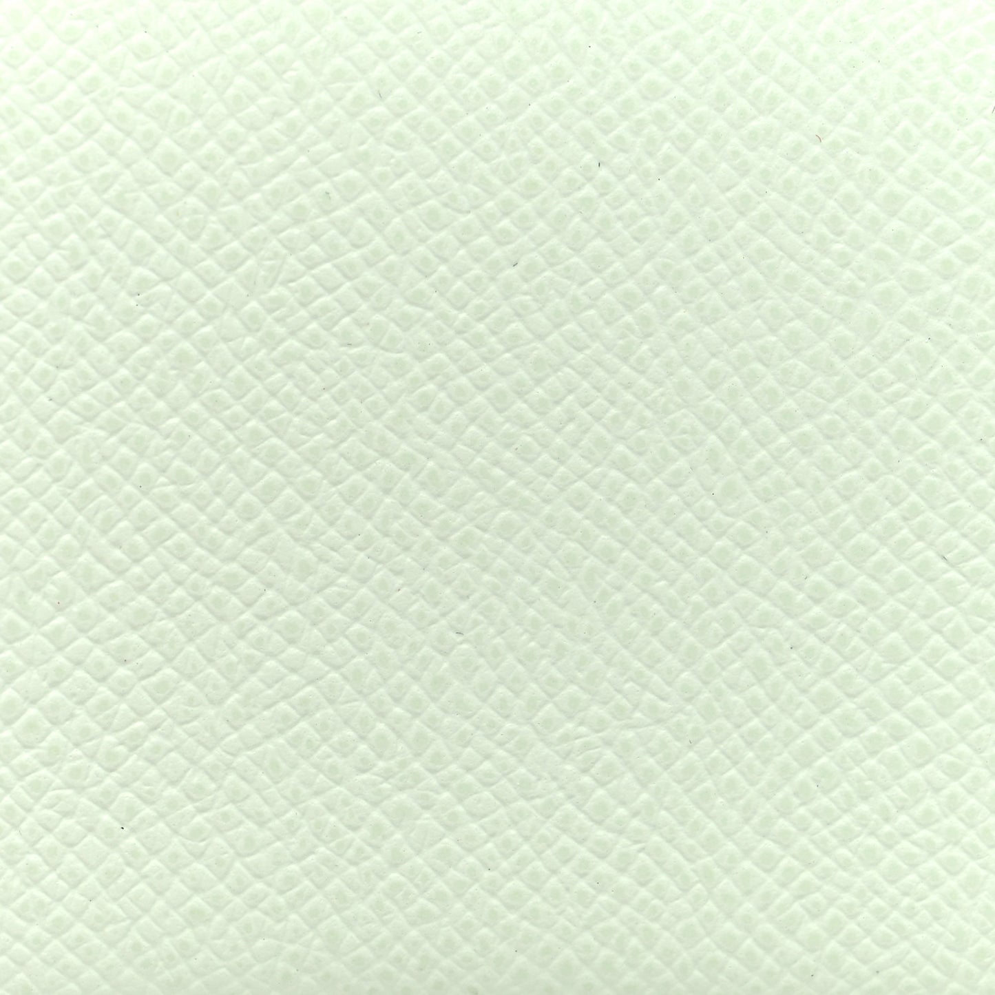 Epsom Calvi Card Case Vert Fizz