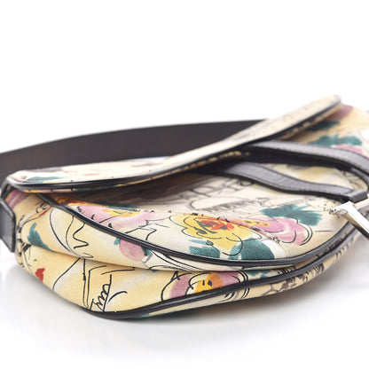 Christian Dior Canvas Paris 50s Saddle Bag Multicolor 9 of 13