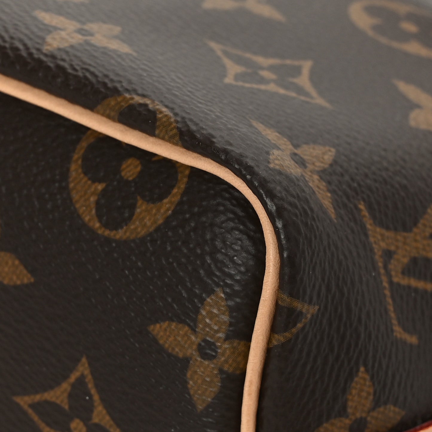 Monogram Nano Noe