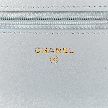 Chanel Lambskin Quilted Chanel 19 Wallet On Chain WOC Light Blue 6 of 12