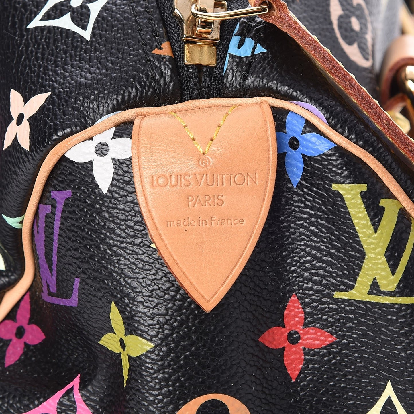 Monogram Multicolor Speedy 30 Black