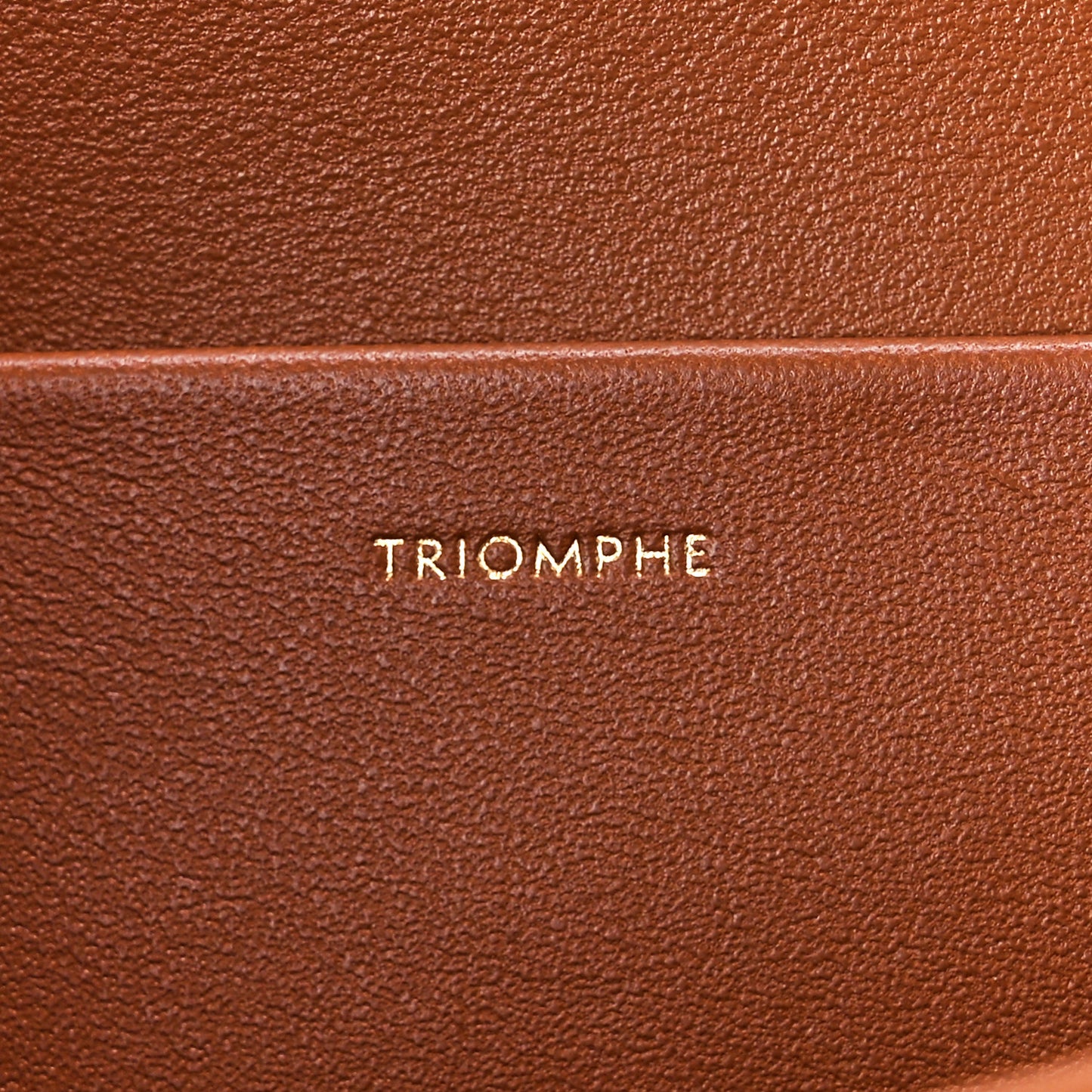 Triomphe Canvas Calfskin Medium Triomphe Bag Tan