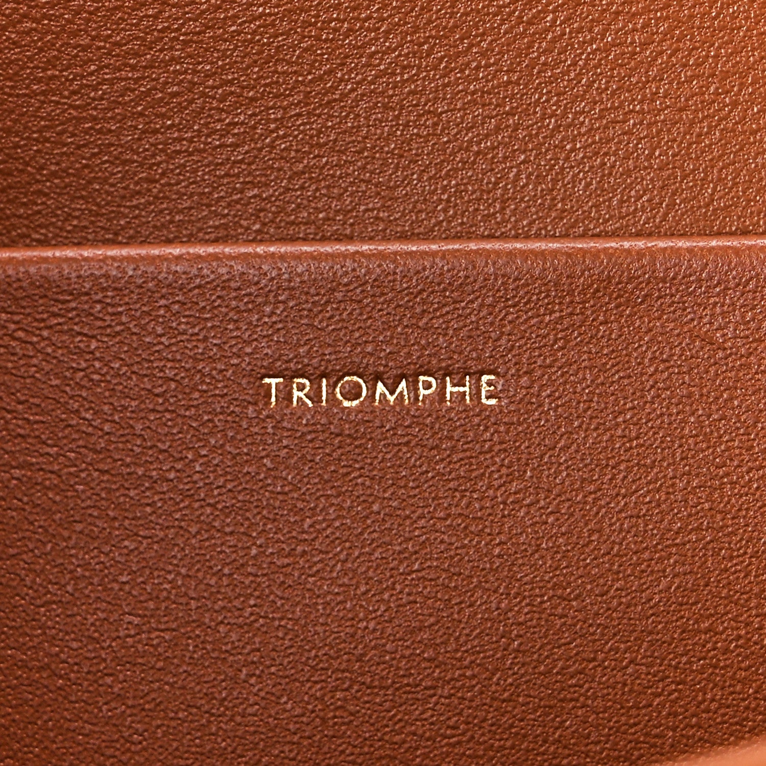 Celine Triomphe Canvas Calfskin Medium Triomphe Bag Tan 7 of 13