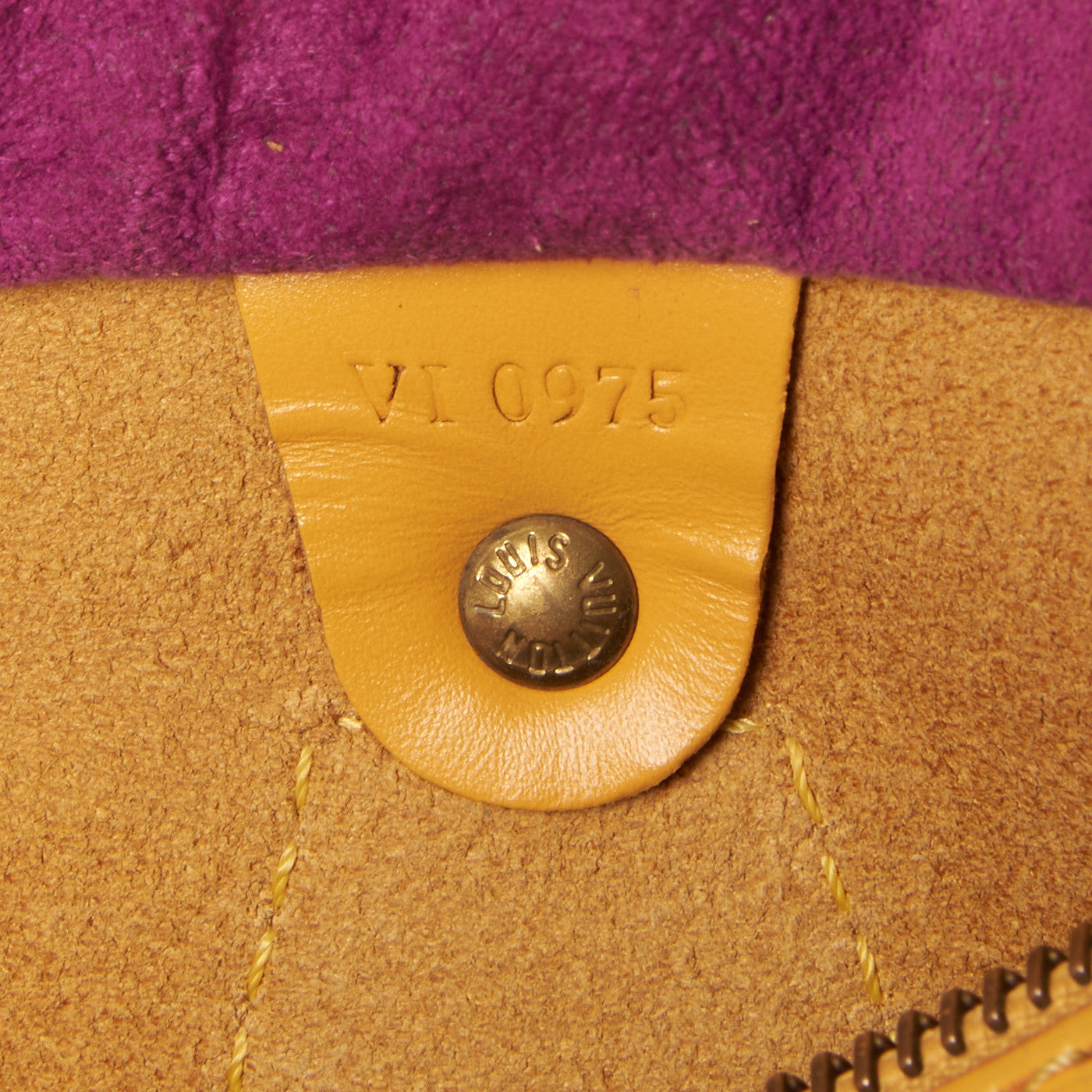 Louis Vuitton Epi Speedy 25 Tassil 9 of 9